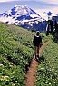 Hiking Toward Mt. Baker on Skyline Divide (v2)